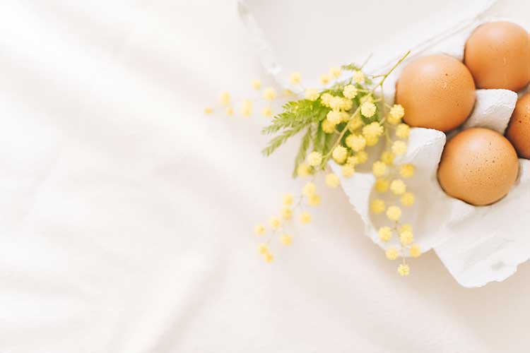 Oeufs mimosas façon poussins : une recette idéale pour cuisiner avec les plus petits
